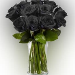 Bouquet of black roses in a clear glass vase