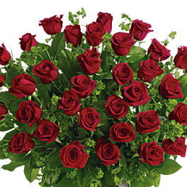 Timeless Beauty Premium Long Stemmed Roses choose 12, 24,or 36 sterms