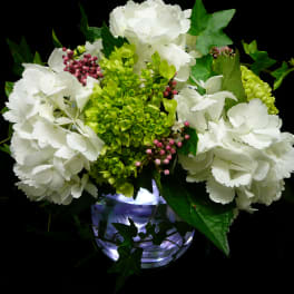 Low glass vase with white and green hydrangeas and pink berries against a black background