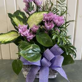 Purple daisy bouquet in a basket with a large lavender bow