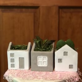Three small house-shaped planters with succulents on a pink cloth