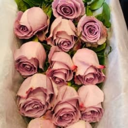 Bouquet of pale pink roses wrapped in white paper