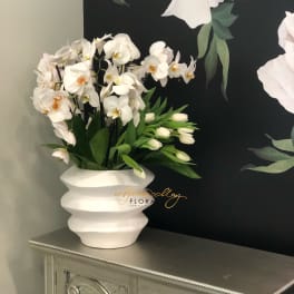 White orchid arrangement in a white vase
