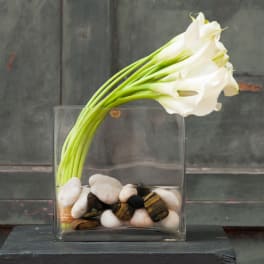White calla lilies in a clear square vase with decorative stones