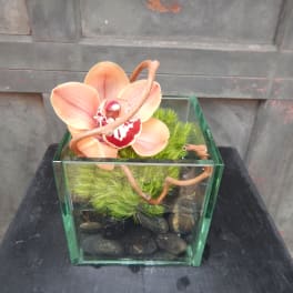 Orchid arrangement in a square glass container with stones