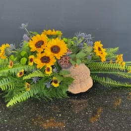 Sunflower arrangement with ferns and decorative pods on a low base