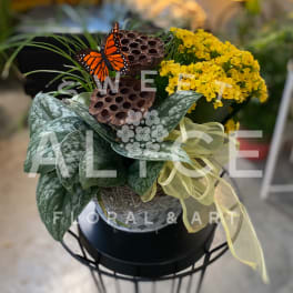 Yellow flowers in a decorative pot with a butterfly accent