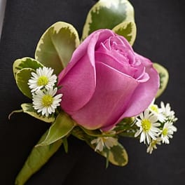 Pink rose boutonniere with small white daisies and variegated leaves
