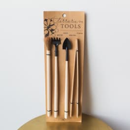 Terrarium tool set on a kraft card with brush, rake, shovel, and tongs