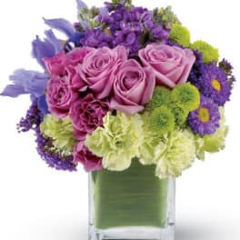 Compact arrangement of pink roses, purple blooms, and green carnations in a square glass vase.