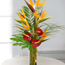 Tall tropical arrangement with orange birds of paradise and red blooms in a clear cylinder vase