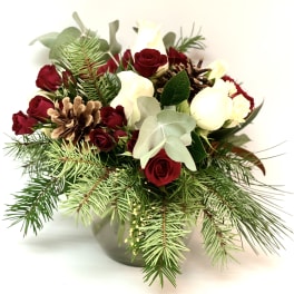 Red and white roses arranged with pinecones and evergreen branches in a vase