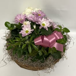 Pink and white daisy bouquet in a basket with a pink ribbon
