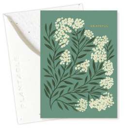 Green greeting card with white floral illustration and the word grateful