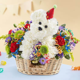 White flower teddy bear in a wicker basket with colorful ribbon curls