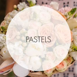 Pastel bouquet of roses and white blooms with a ribbon wrap