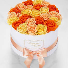 Round box of orange, peach, and yellow roses with a satin ribbon