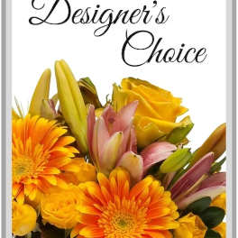 Designer's Choice