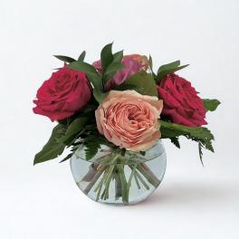 Half-Dozen Rainbow Roses