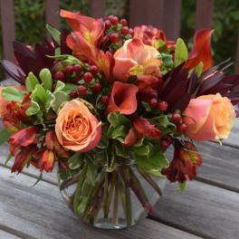 Low glass vase of orange roses and red calla lilies with berries