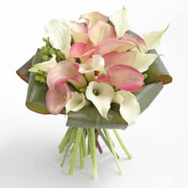 Bouquet of pink and white calla lilies wrapped in broad leaves