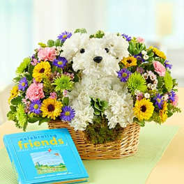 Man's Best Friend with Book