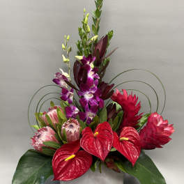 Tropical arrangement with red anthuriums, purple orchids, and pink protea in a square vase