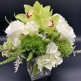 Compact arrangement of white roses, hydrangeas, and green orchids in a clear glass cube vase.