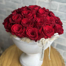 Red roses arranged in a white pedestal vase with a ribbon bow