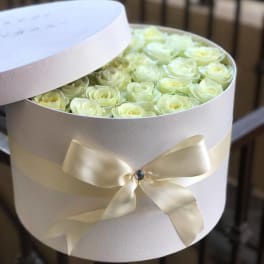 Round box of pale cream roses with a satin ribbon