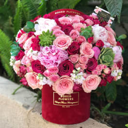 Pink and red roses arranged in a red box with succulents