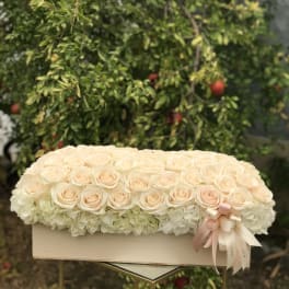 Cream roses arranged over white hydrangeas in a rectangular box with a ribbon bow