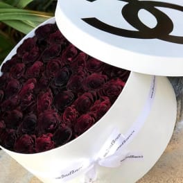 Box of dark red roses with a white lid and ribbon