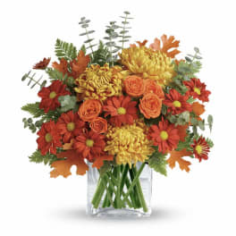 Fall Fragrance