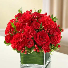 All My Love - All Red