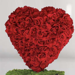 I give you my heart