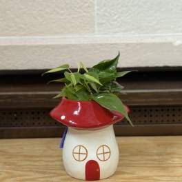 Small potted plant in a red-and-white mushroom-shaped ceramic planter