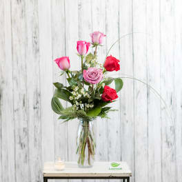 Pink and red roses arranged in a clear glass vase.