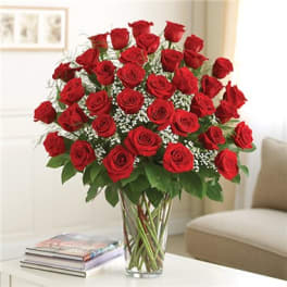 3 DOZEN RED ROSES ULTIMATE PREMIUM LONG STEM ROSES IN CLEAR VASE