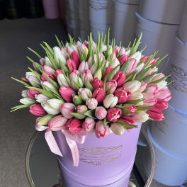 Bouquet of pink and white tulips in a lavender hat box