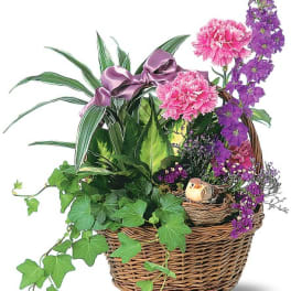 Basket arrangement with pink carnations, purple flowers, and a satin bow