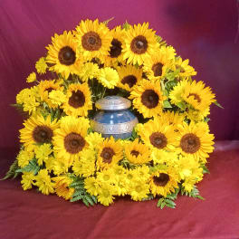 Yellow sunflowers arranged around a blue urn on burgundy fabric