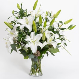 White lilies arranged in a clear glass vase