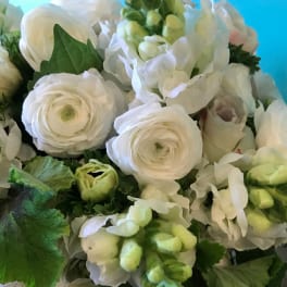 White ranunculus and pale green hydrangea bouquet