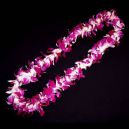 Two pink and white flower leis on a black background