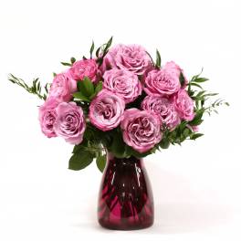 GARDEN ROSES