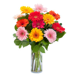 Bouquet of colorful gerbera daisies in a clear glass vase
