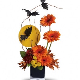 Orange gerbera daisies in a black vase with autumn leaf accents
