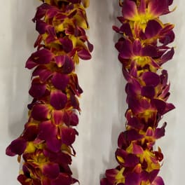 Double Strand Red Dendrobium Orchid Lei
