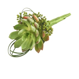 Green succulent boutonniere with small buds on a white background
